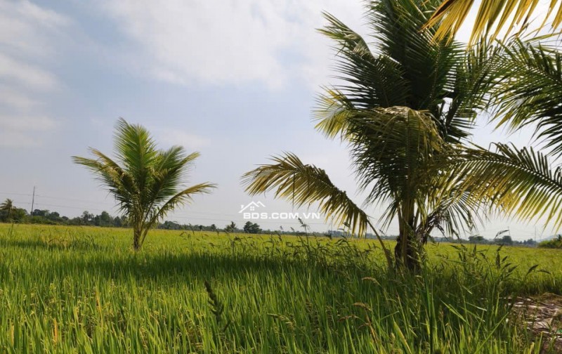 Đất phường Long khánh